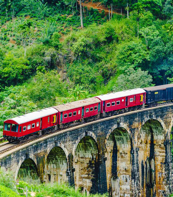 Hill Country Tour With Train Ride